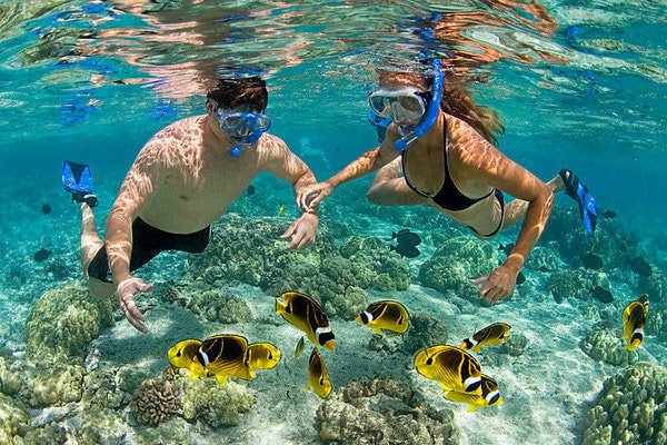 Roatan snorkeling excursions