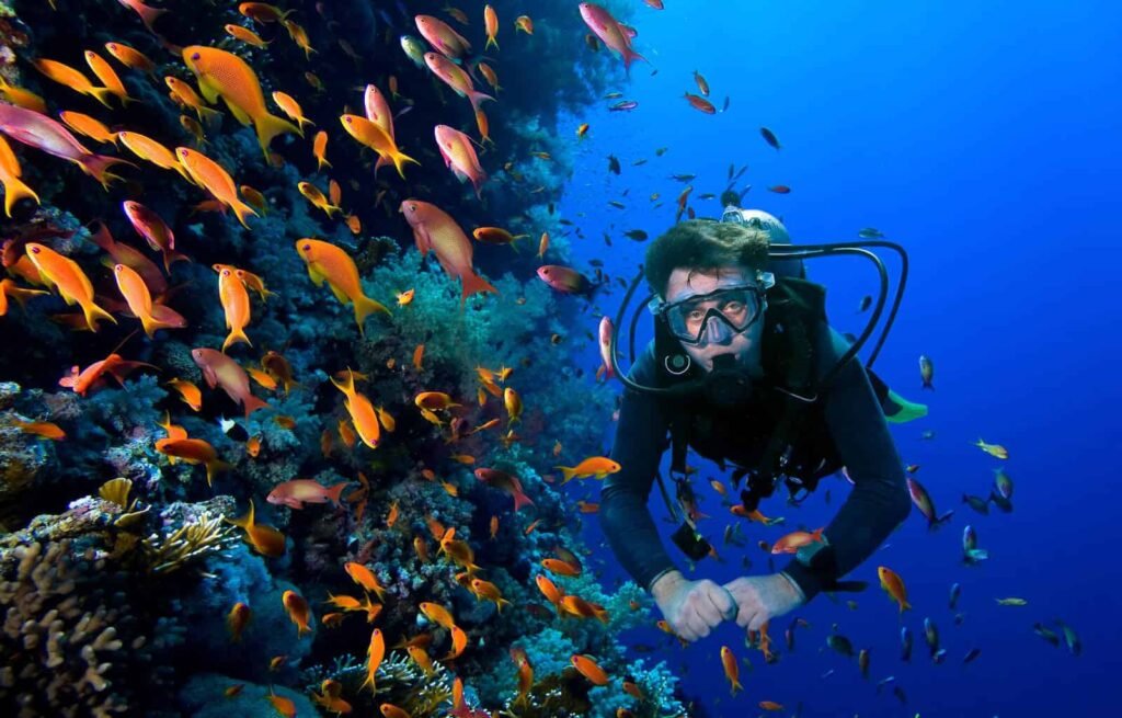 Roatan scuba diving packages