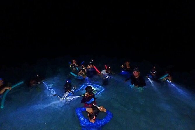 Roatan Night Snorkeling Excursion